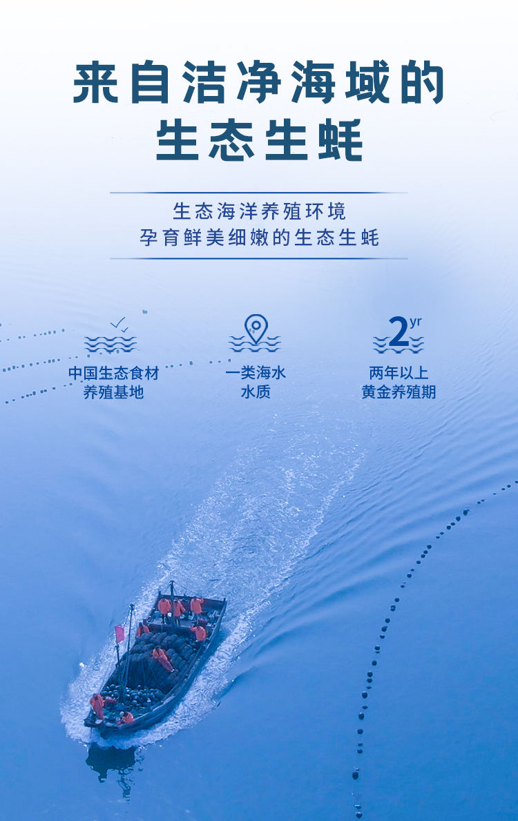 251124-液氮冻半壳生蚝（配蒜蓉酱）-宣传长图_09.jpg