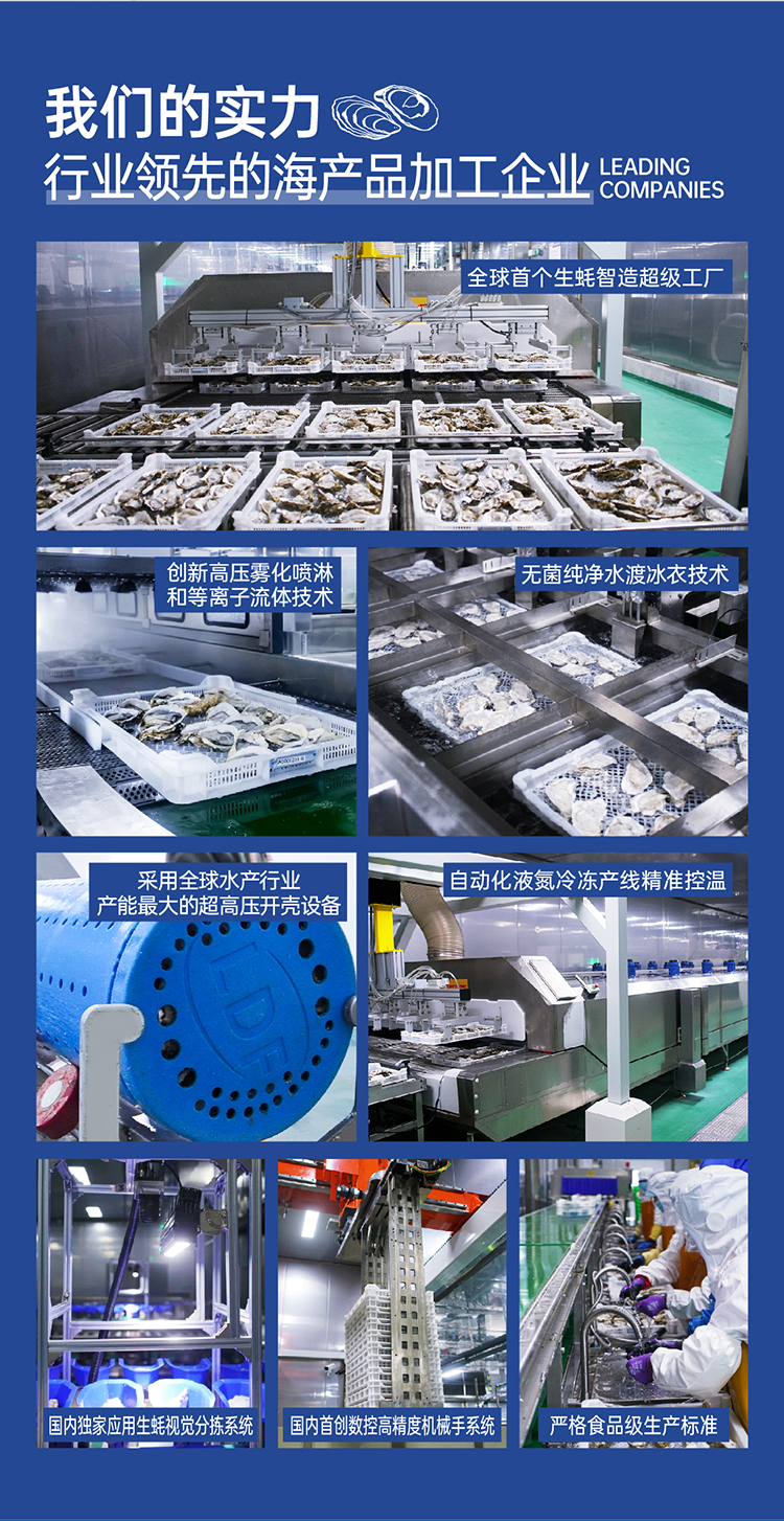 251124-液氮冻半壳生蚝（配蒜蓉酱）-宣传长图_08.jpg