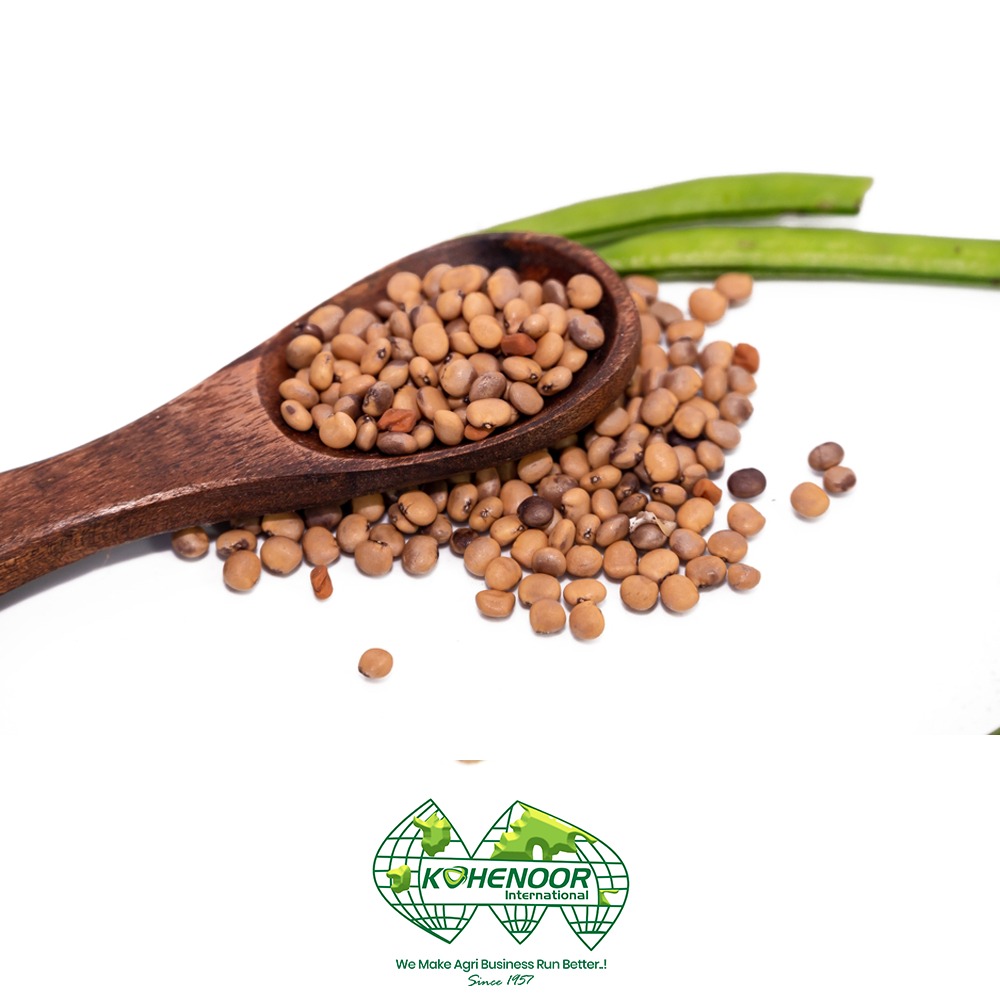 Guar seeds 2.jpeg