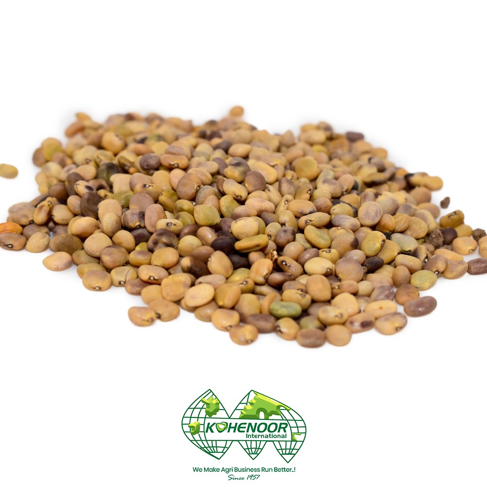 Guar seeds 3.jpeg