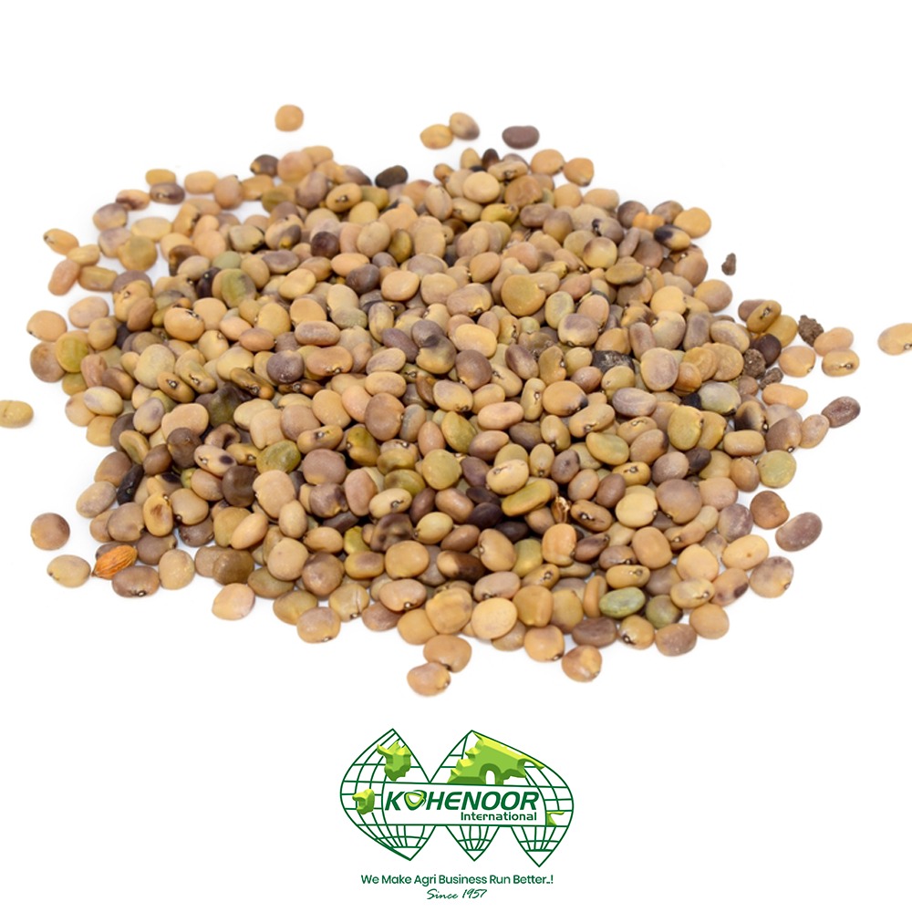 Guar seeds 5 .jpeg