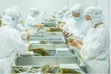 粽子1.jpg