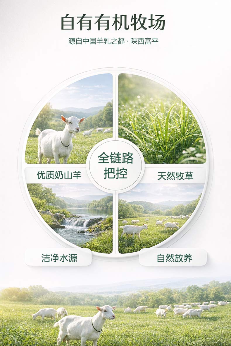 详情页_07.jpg