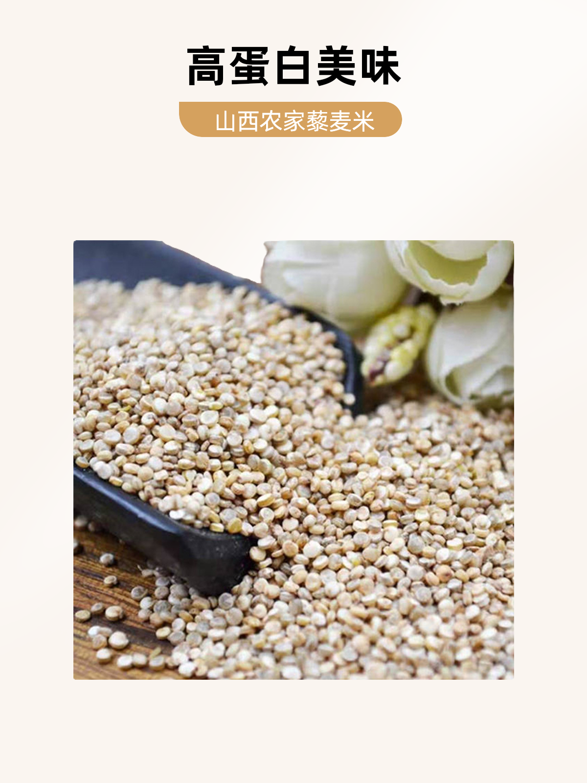 主图2.png