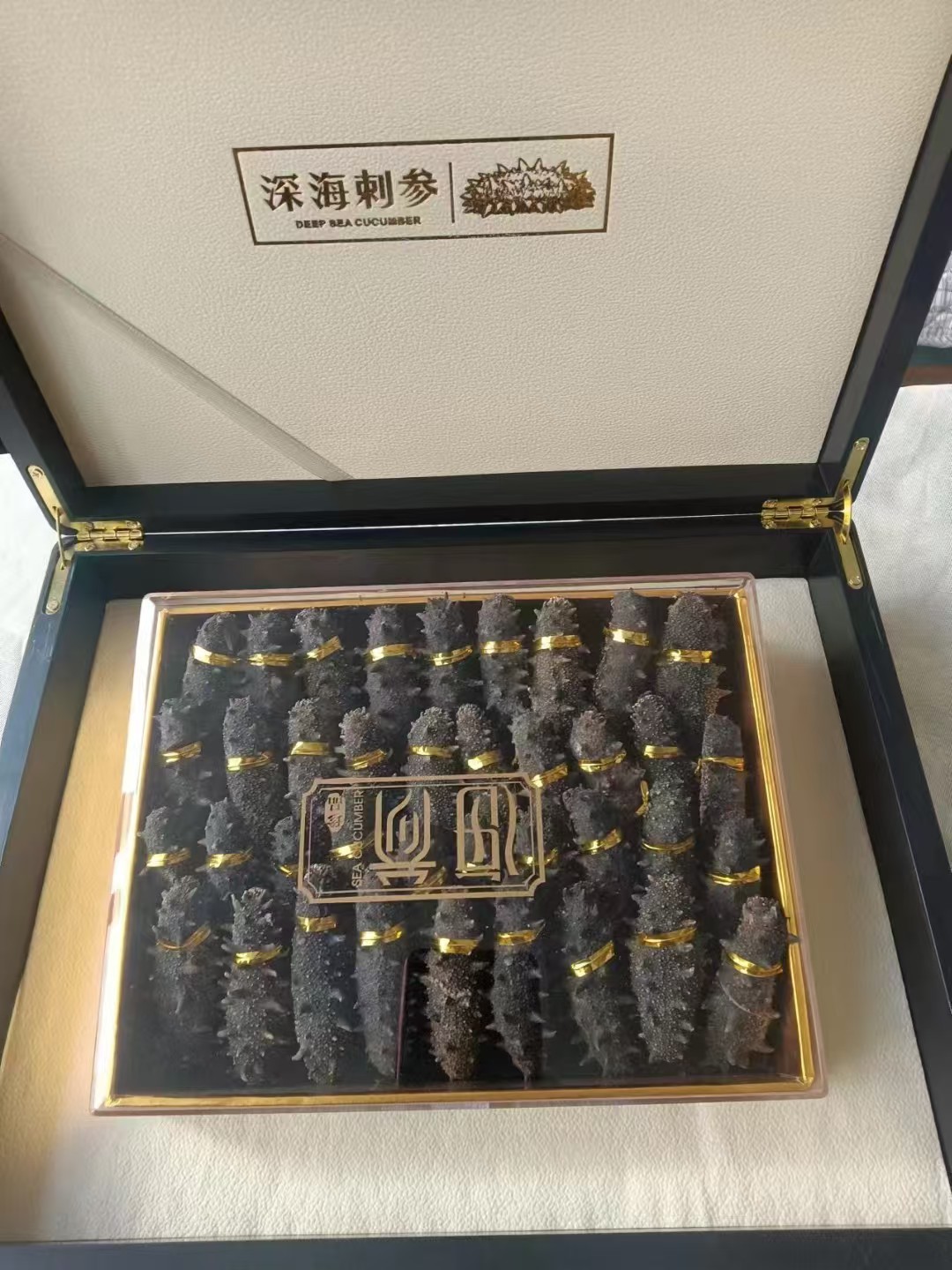 sea cucumber