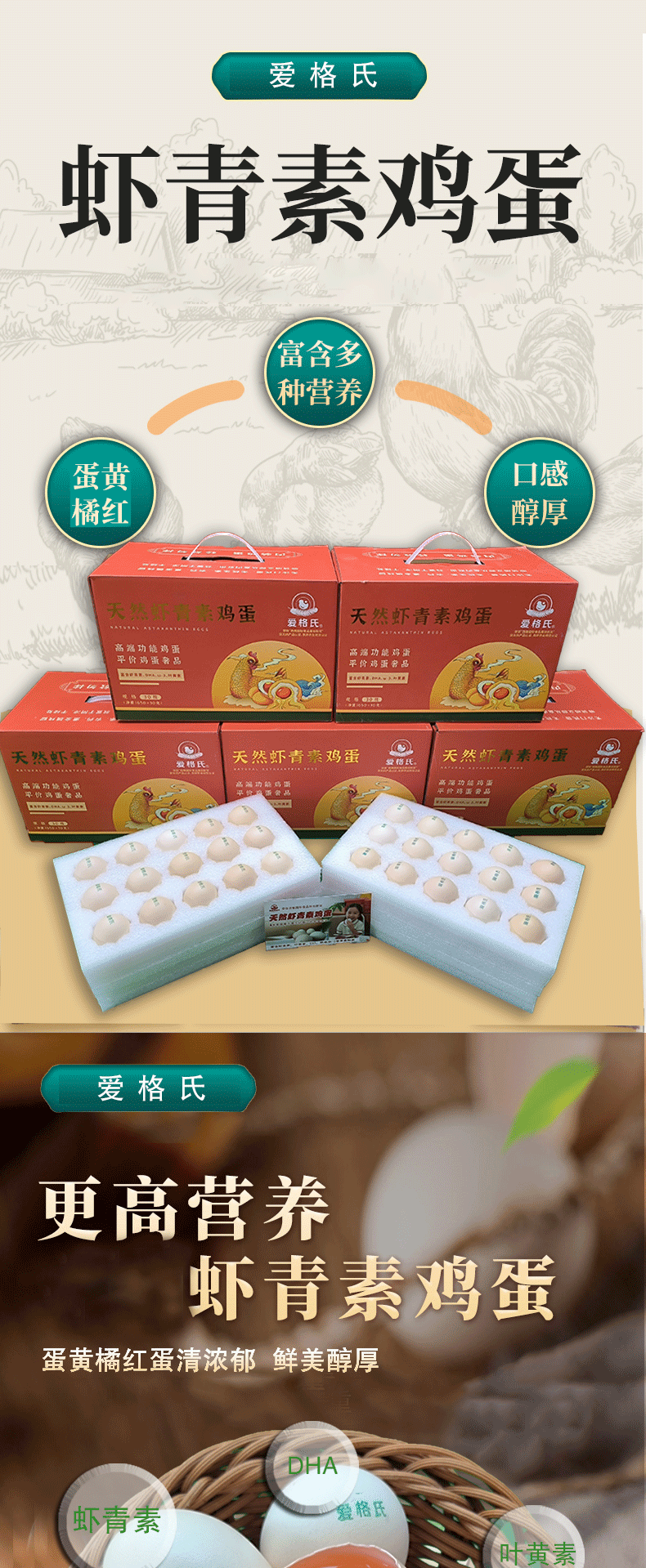 55555_01.png
