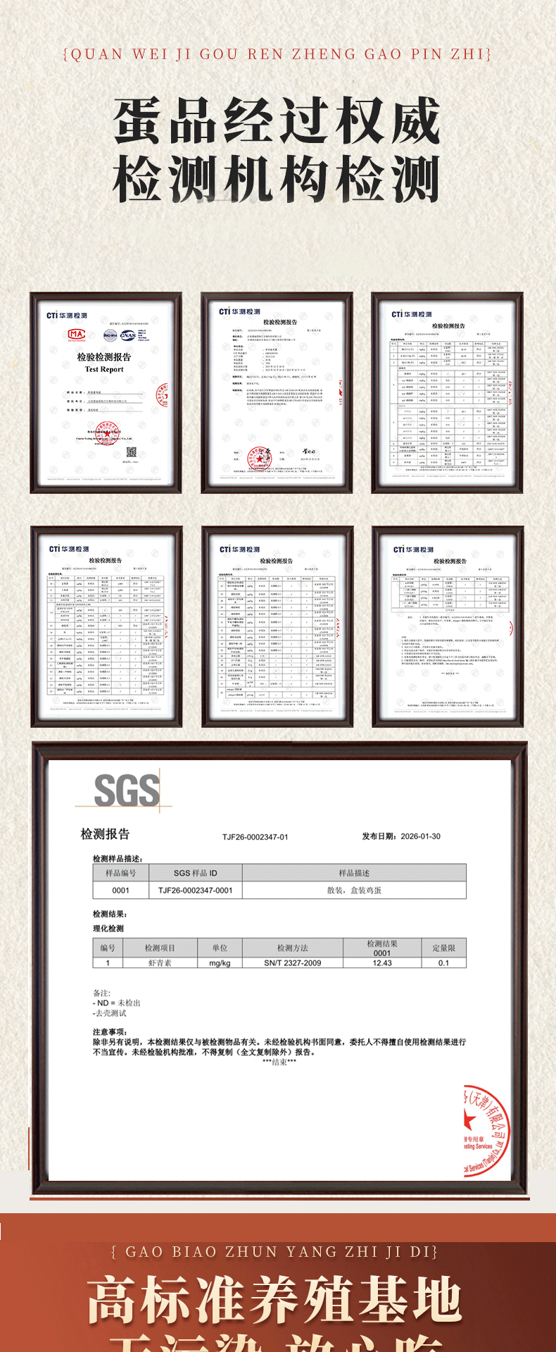 55555_07.png