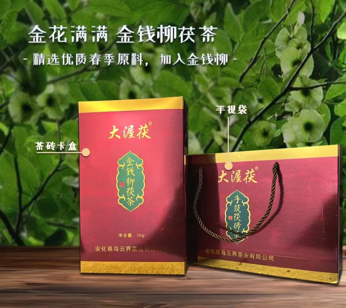金錢柳茯磚