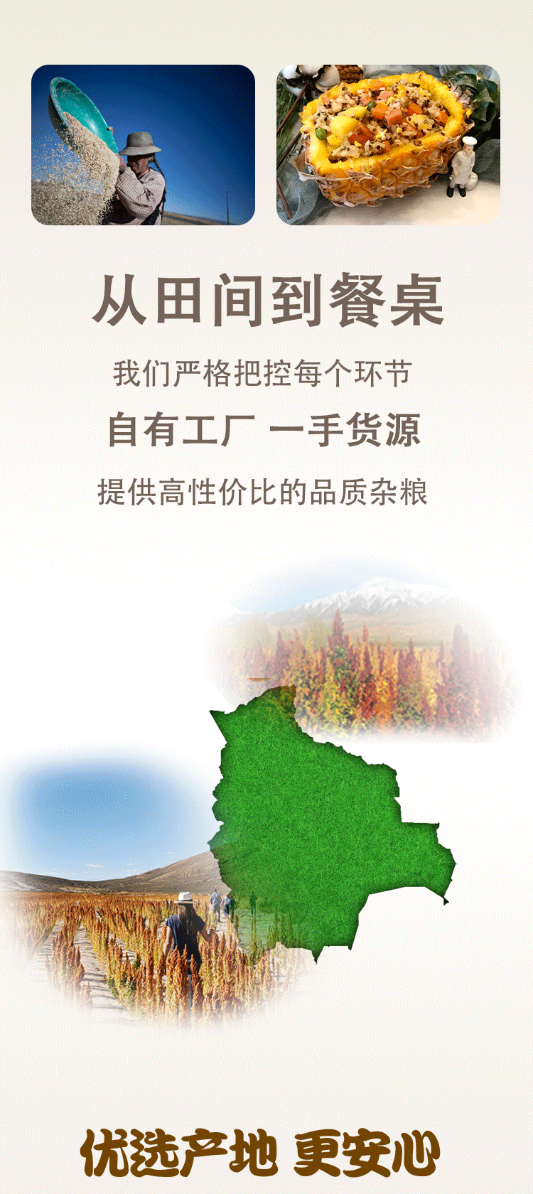 三色藜麦_04.png