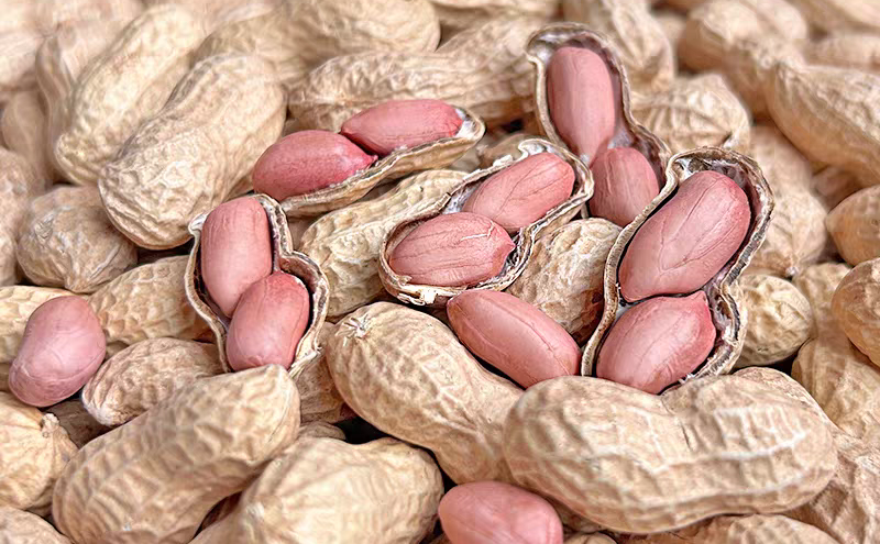 Peanuts In-shell