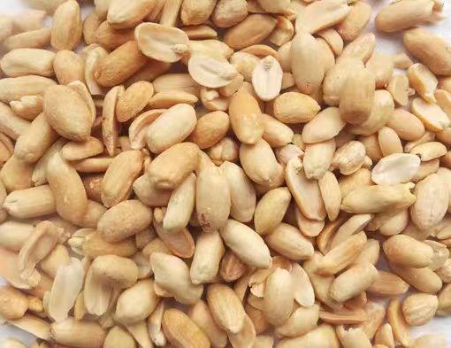 Roasted Peanuts