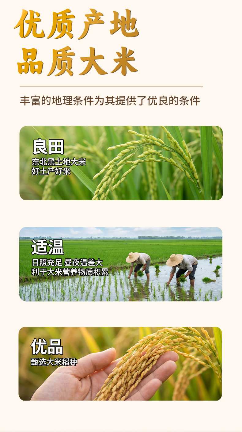 五常大米_03.jpg