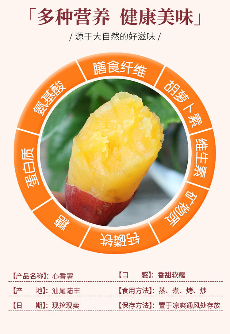 小香薯5-3.jpg