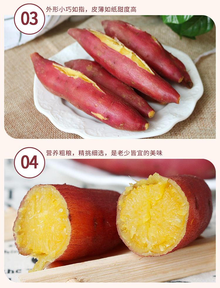 小香薯5-6.jpg