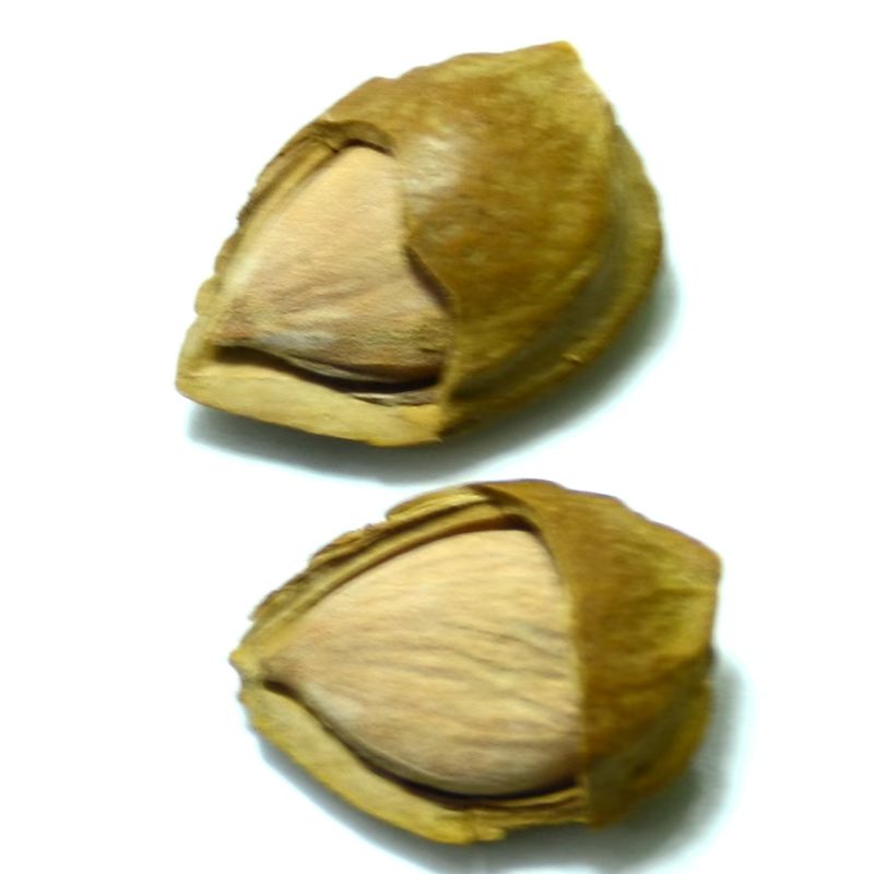 mmexport1786003084286.jpg