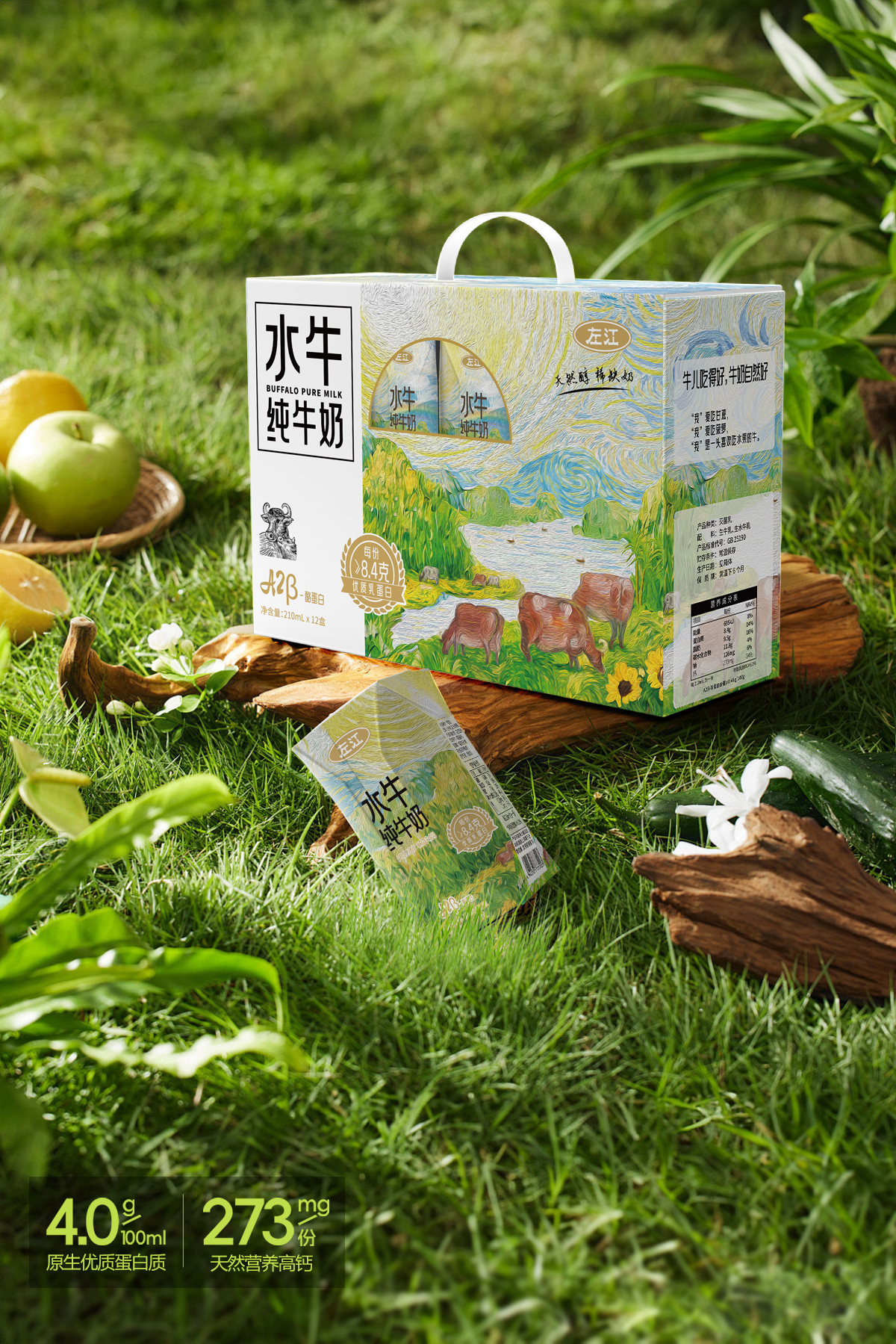 左江a2酪蛋白水牛純牛奶