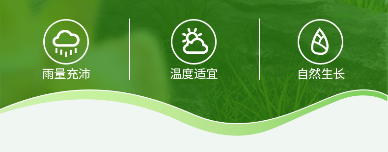 400克清水筍詳情頁_08.jpg