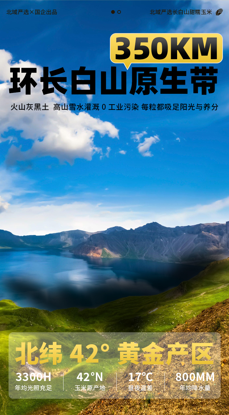 白糯玉米-詳情_02.jpg