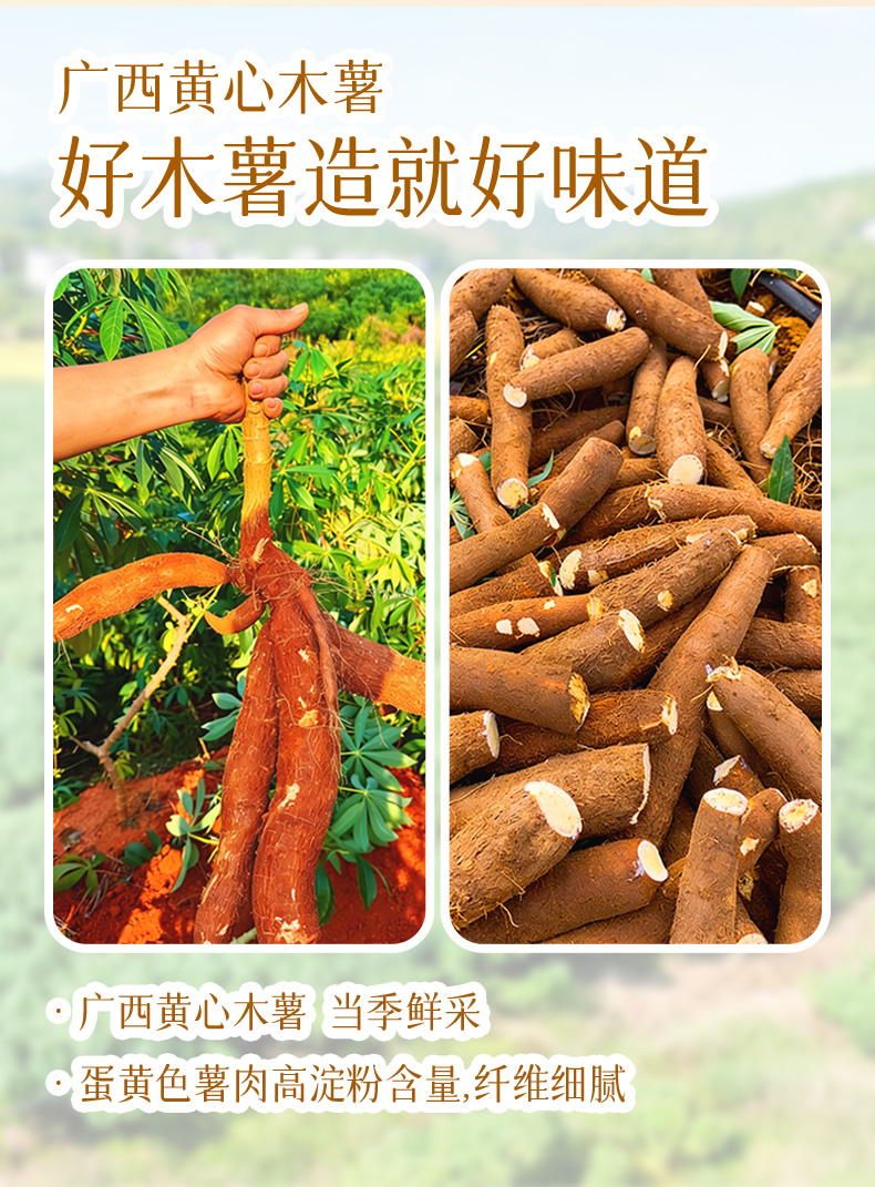 木薯詳情頁更新 (7).jpg