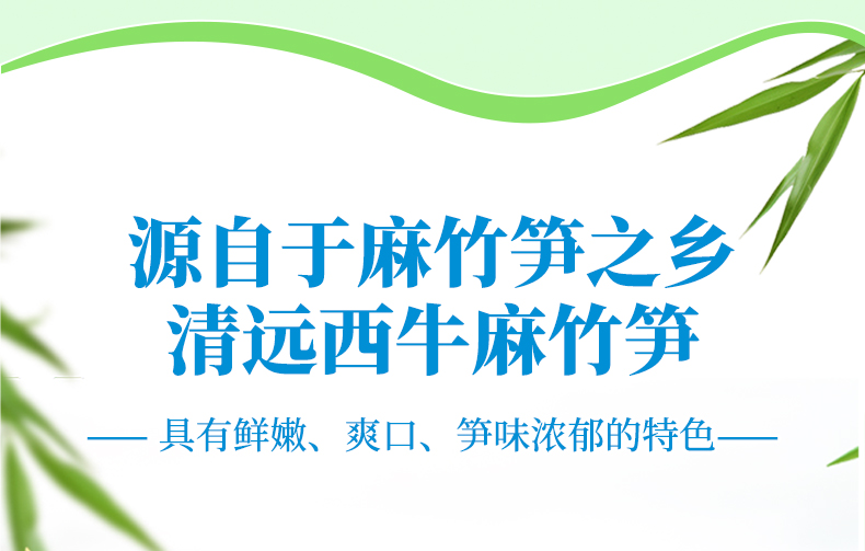 400克清水筍詳情頁_06.jpg