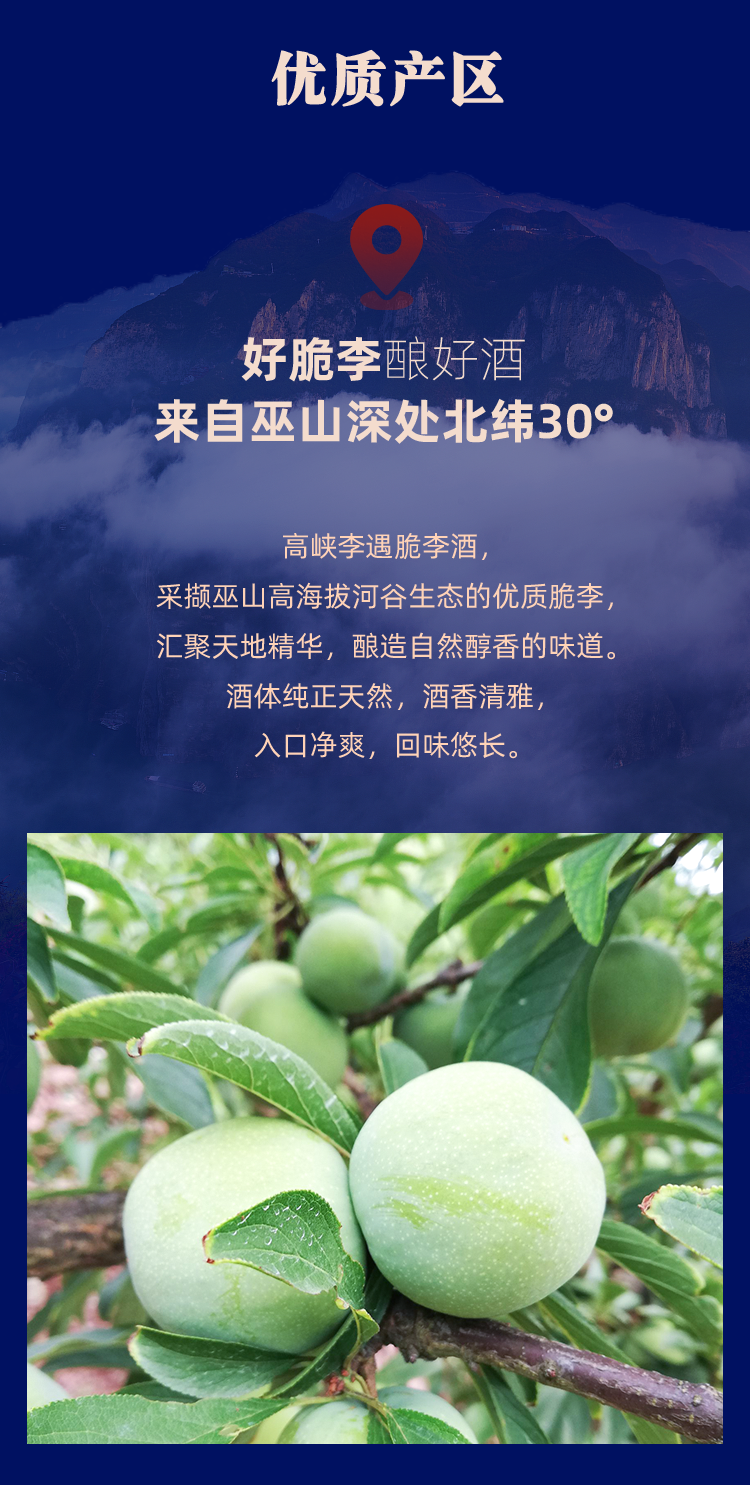 九州宴详情页--蓝瓶_04.png