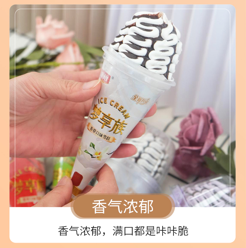 梦享族-香草口味_06.jpg