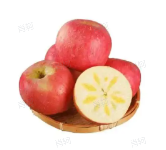企業微信截圖_20260811152559.png