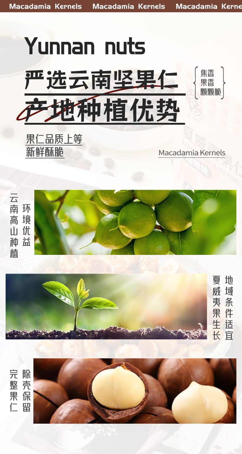 咖啡夏威夷果仁詳情2_05.png