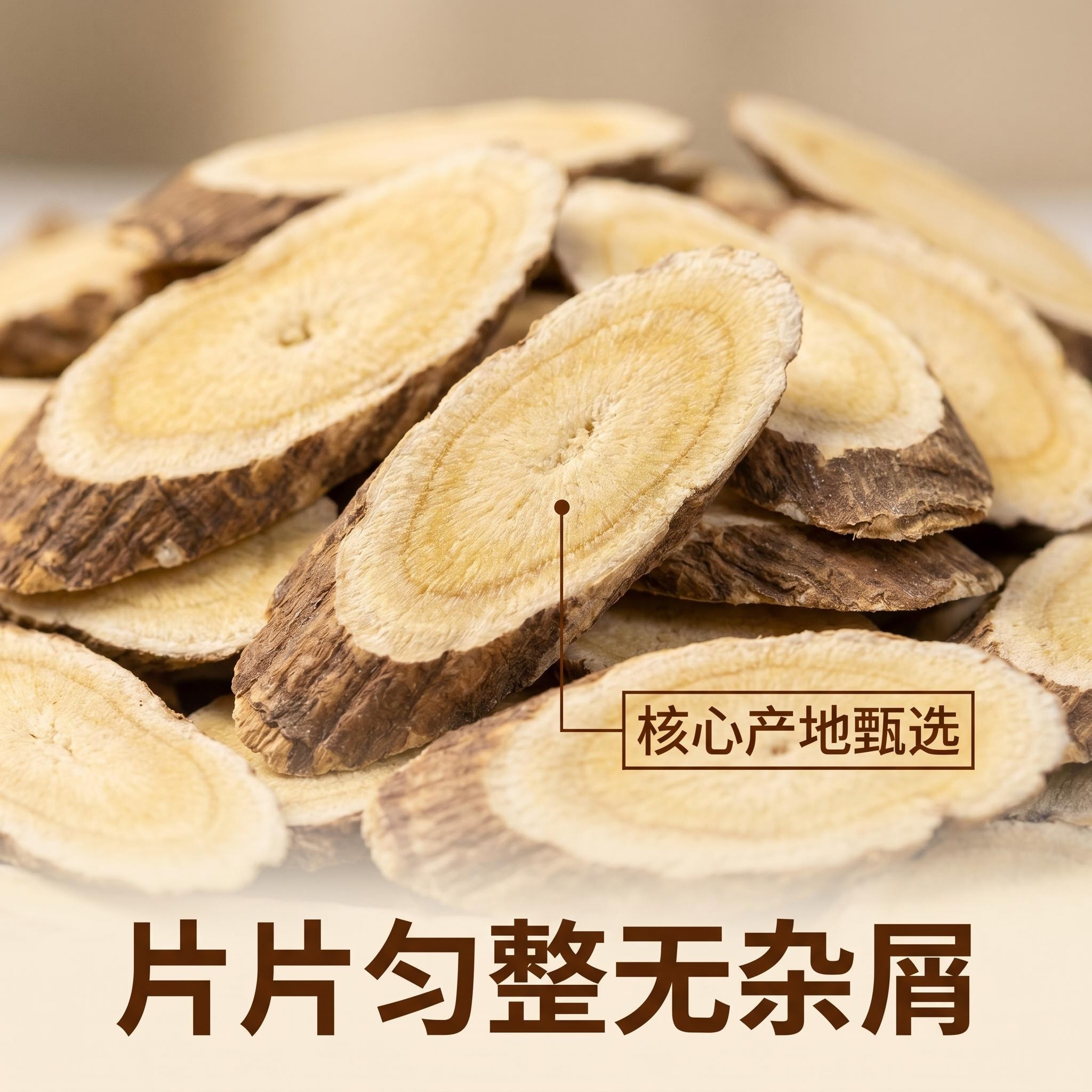 微信圖片_20260813162955_536_1361.jpg