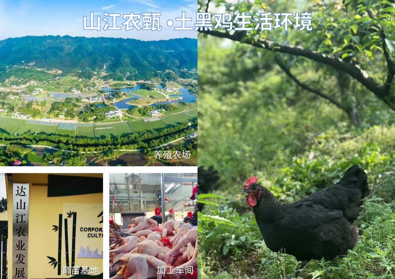 PDF转图片_20260813_510145.jpg