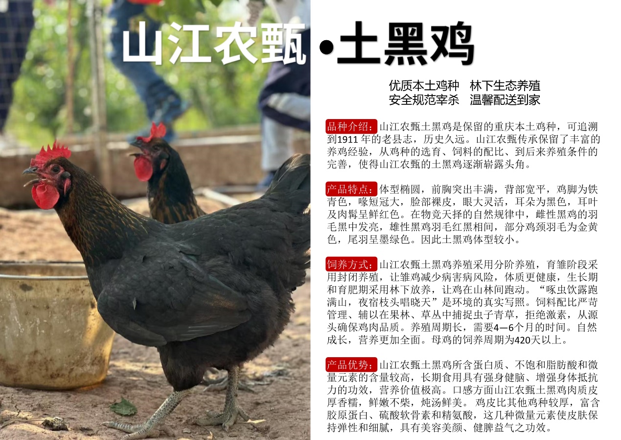 PDF转图片_20260813_488763.jpg