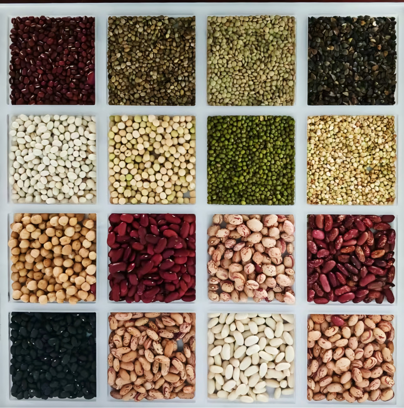 Beans