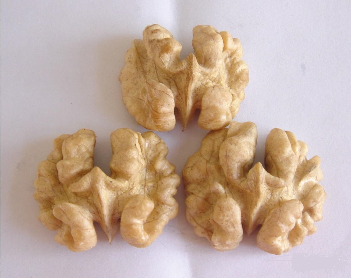walnut kernel 2.jpg