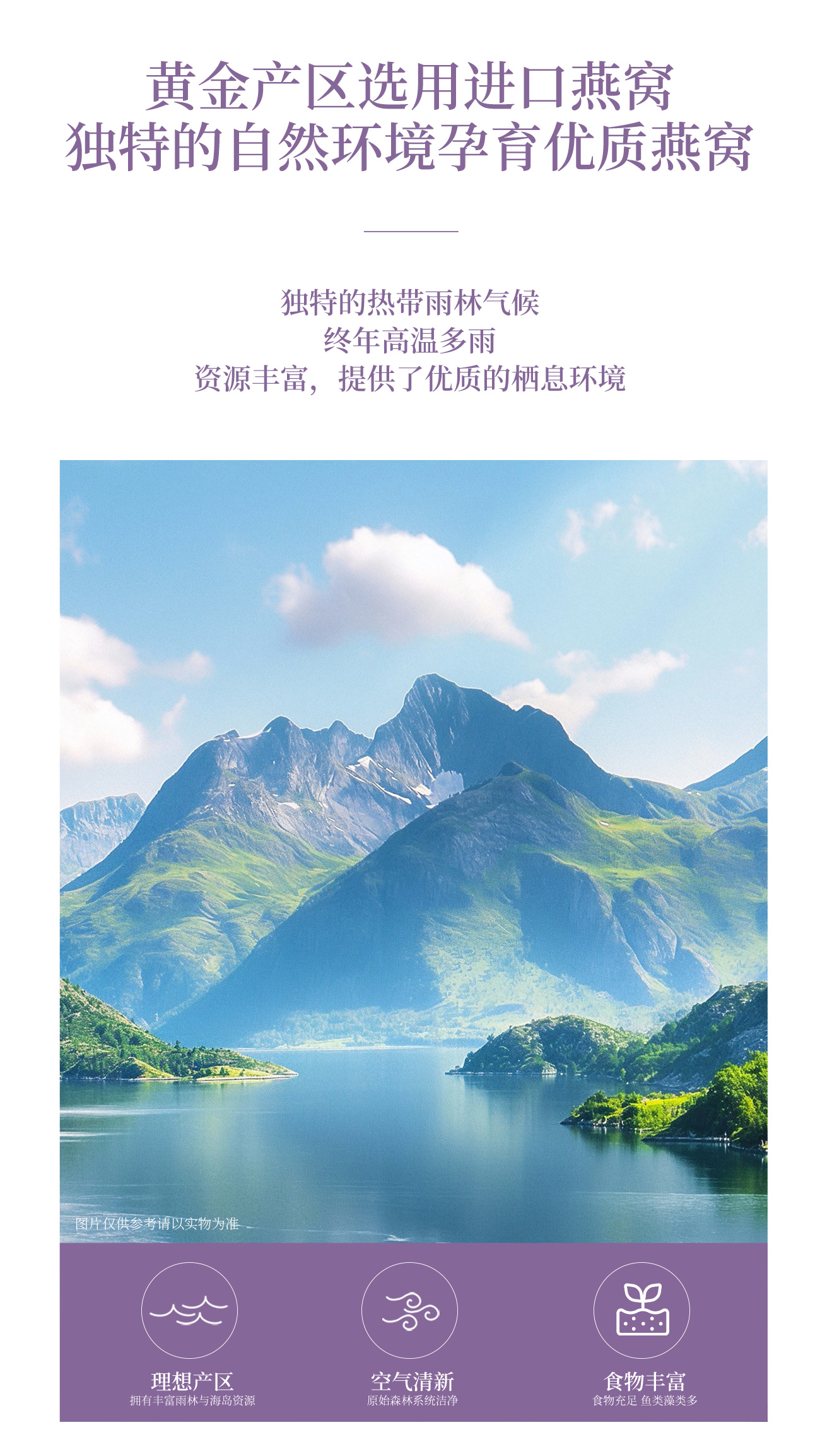 燕窝粥紫色开窗详情_06.jpg