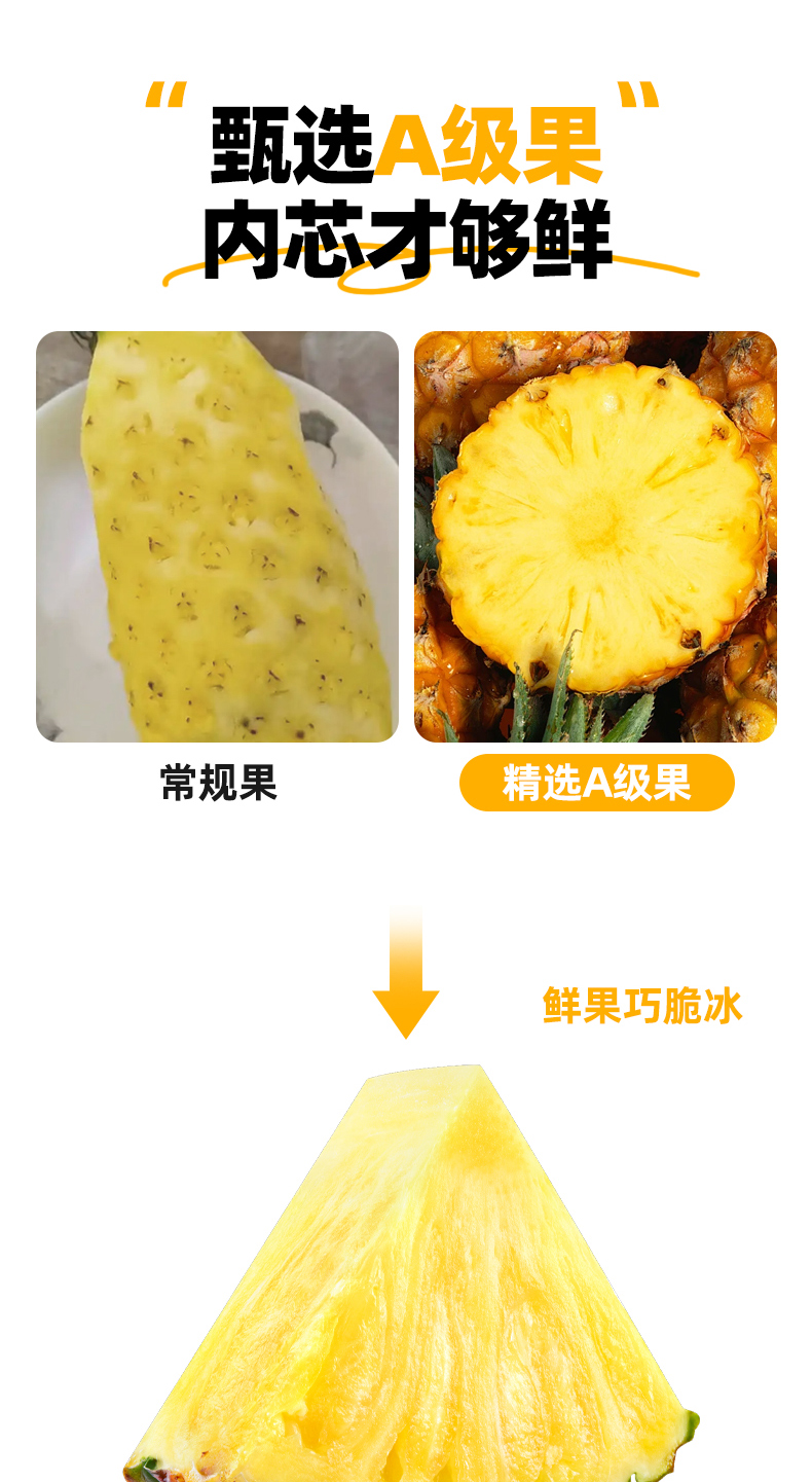 凤梨_04.jpg