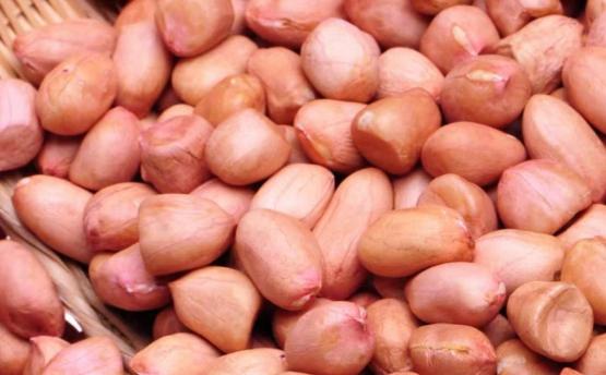 Raw peanut kernels(round type)