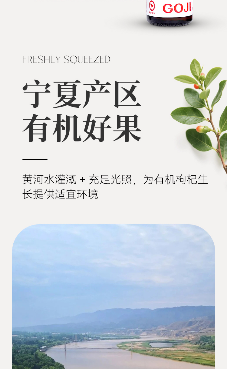 枸杞詳情頁_07.jpg