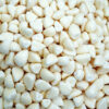 cp-sdsp-19-100x100.jpg