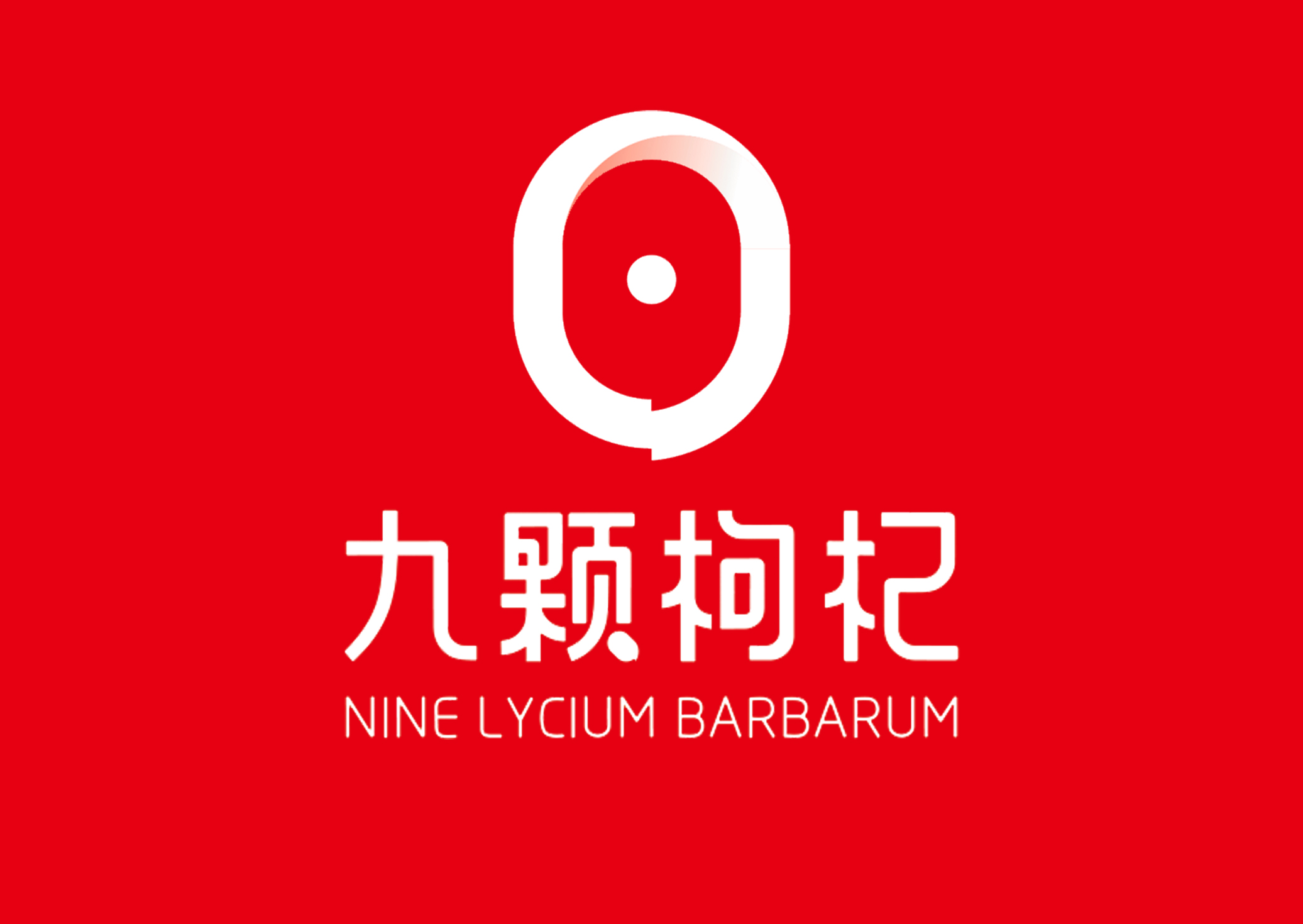 寧夏九顆枸杞生物科技有限公司