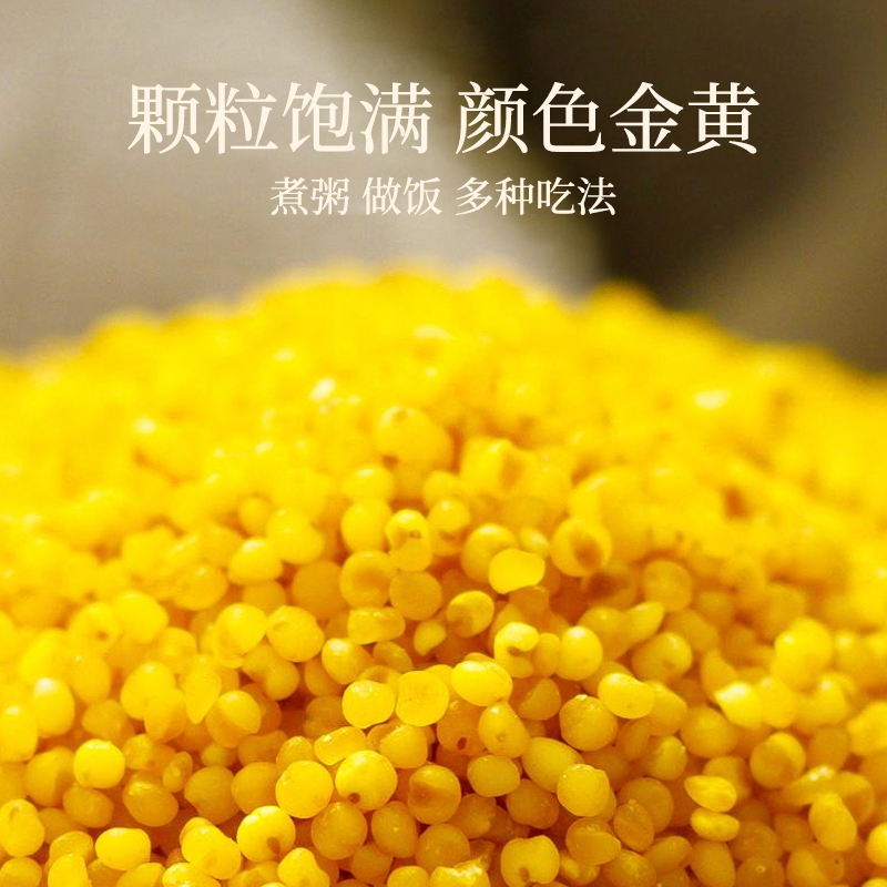 主图03_看图王(1).jpg
