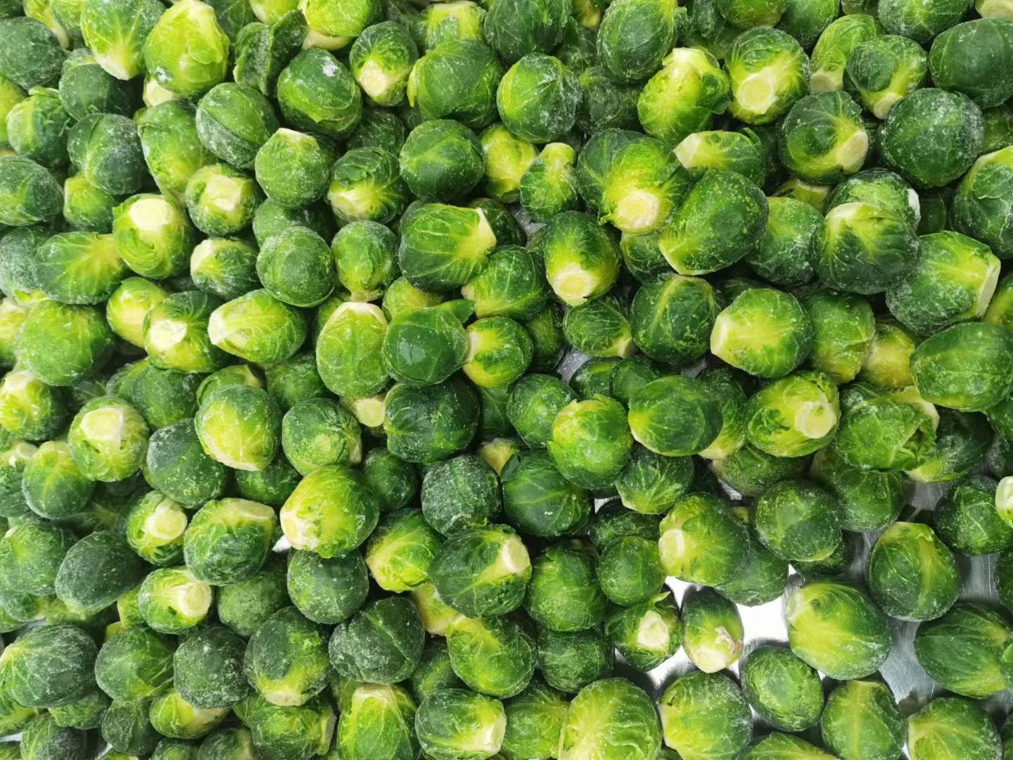 IQF Brussels Sprouts