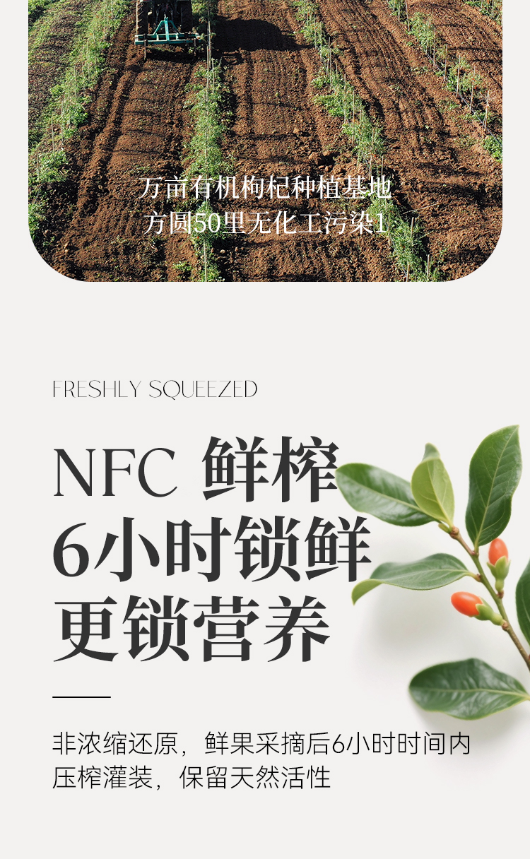 枸杞詳情頁_05.jpg