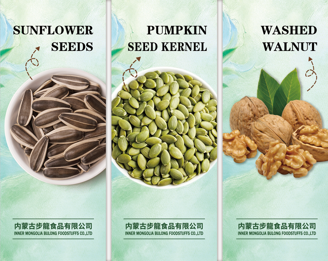 葵花籽各類堅果