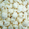 cp-sdsp-31-100x100.jpg