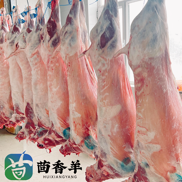 茴香羊肉