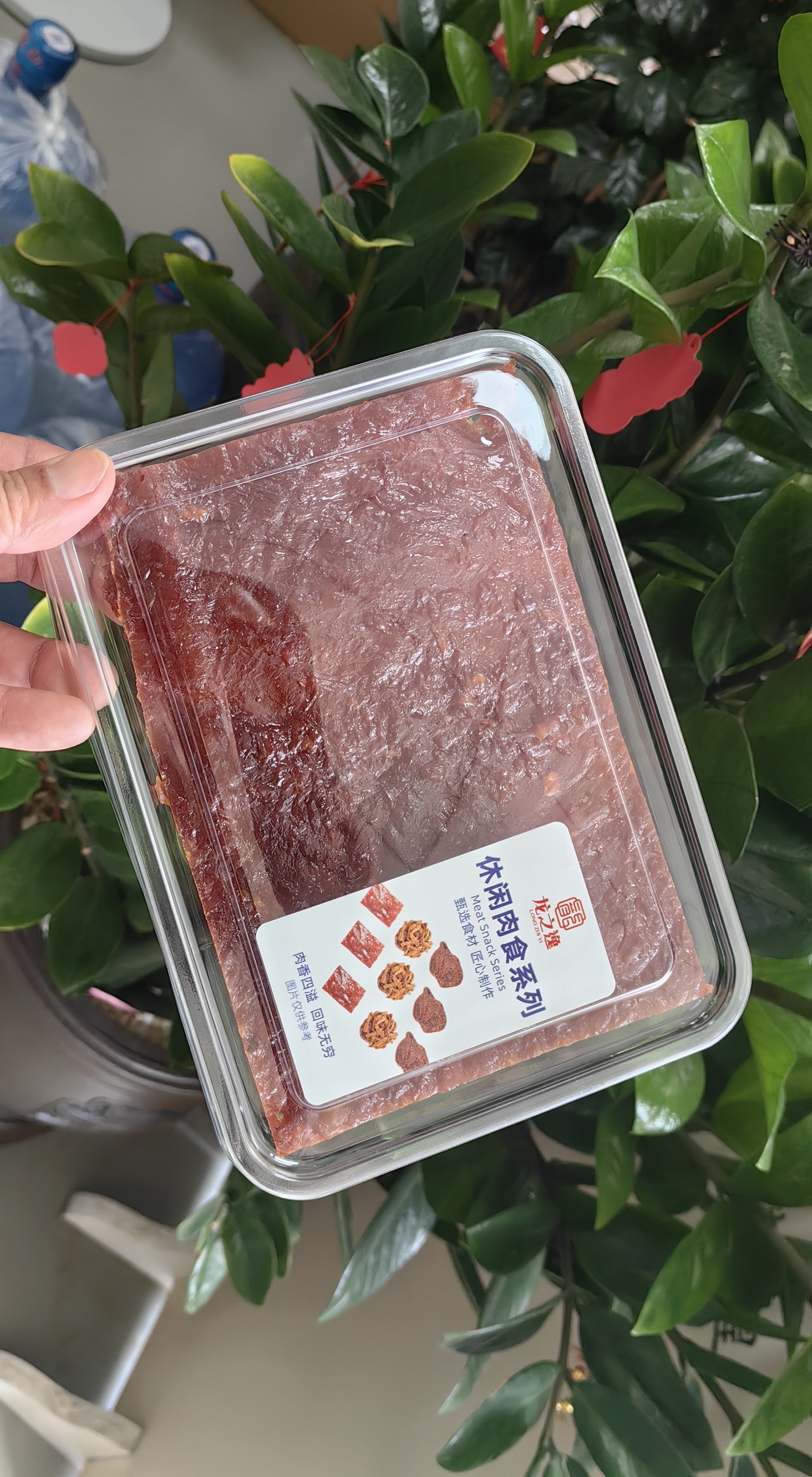 龍之逸豬肉脯