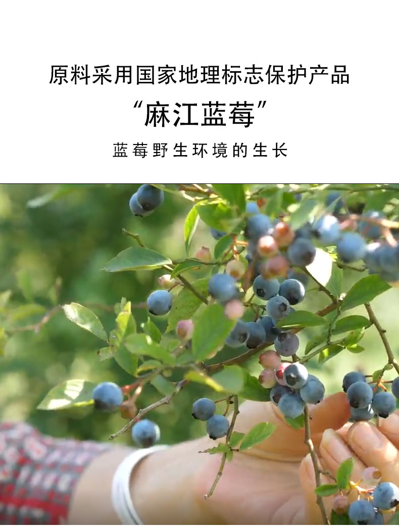 100ml藍莓原汁_03_20260312102152.jpg