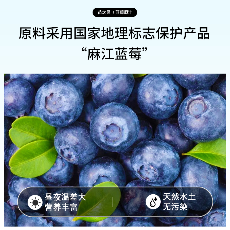 藍莓原汁100ml-主圖2_20260312102229.jpg