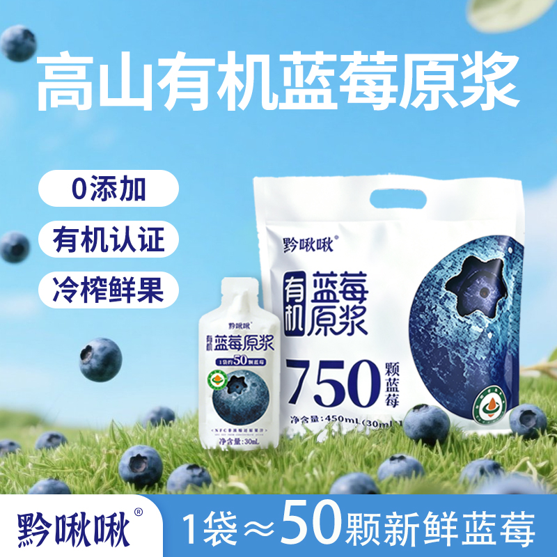 Organic blueberry puree