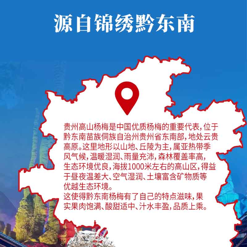 杨梅混合汁6.jpg